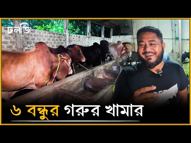 ৬ বন্ধুর একদিনের আড্ডার ফলাফল এটা | চলতি