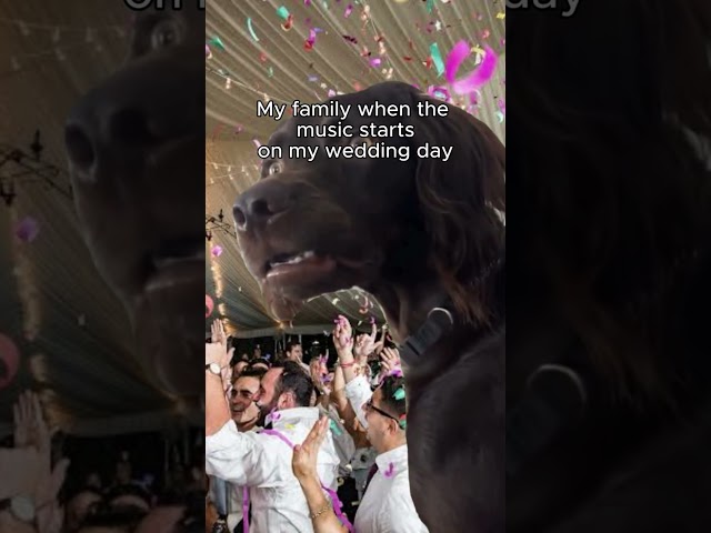 when the music starts at my wedding day😂​​​#hardtechno #techno #technoremix #ravememes #ravetok