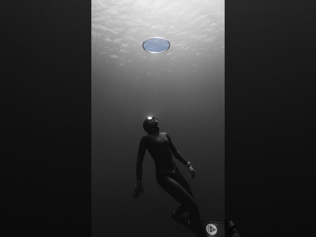 first look Perspective