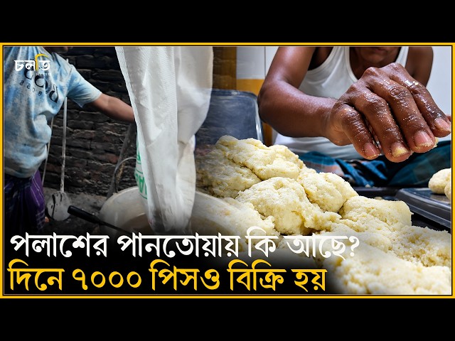 ৬৬ বছর এভাবেই চলছে হুলস্থুল  || চলতি