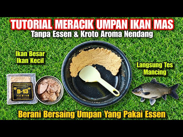 Here Is The Carp Bait Tutorial Without Essence And Without Ant Eggs ‼️ Ready For Testing