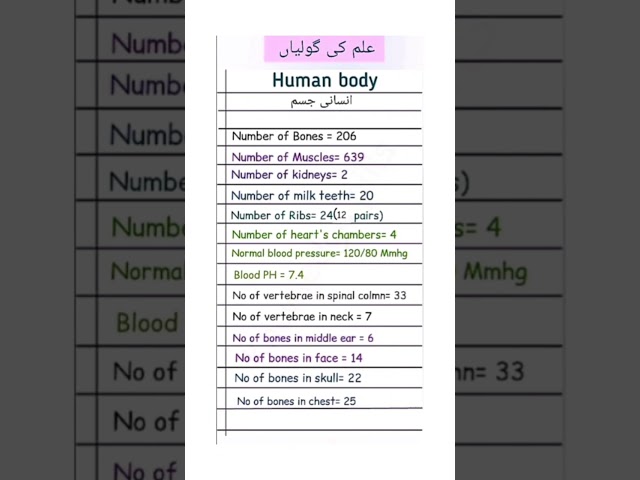 human body facts. interesting informations about human body #generalknowledge#HumanBody #Facts