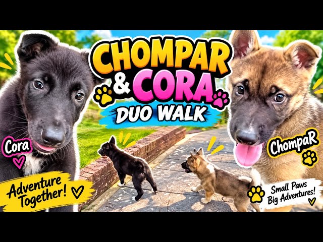 Chompar x Cora Duo Walk