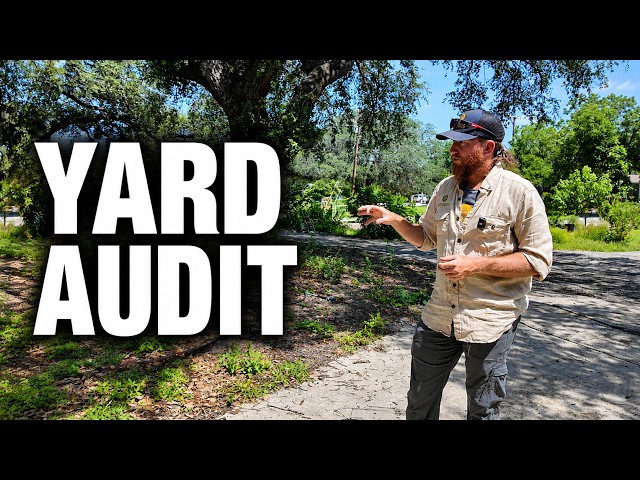 A Permaculture Expert Judged My Texas Yard