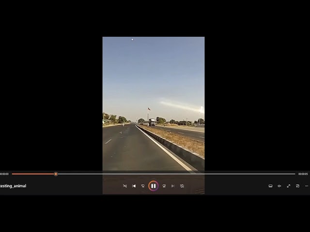 DHARMA | AI-Based Autonomous Driving & Collision Avoidance for Indian Roads | SIH 2026