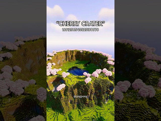Minecraft 🤩
