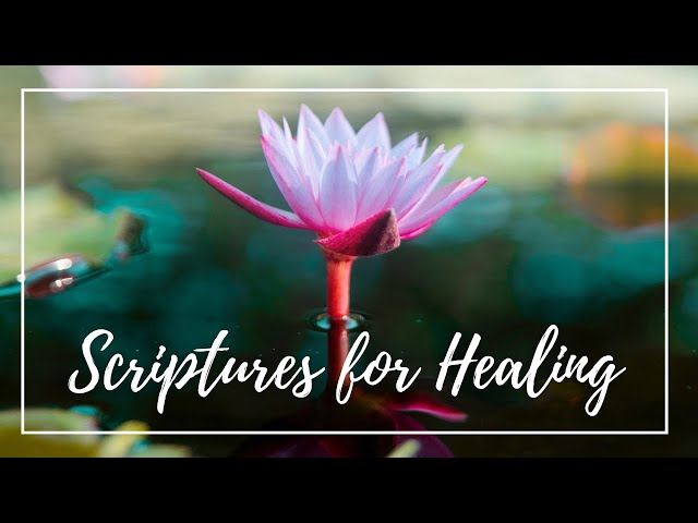 Scriptures for Healing | Top Bible Verses for Healing