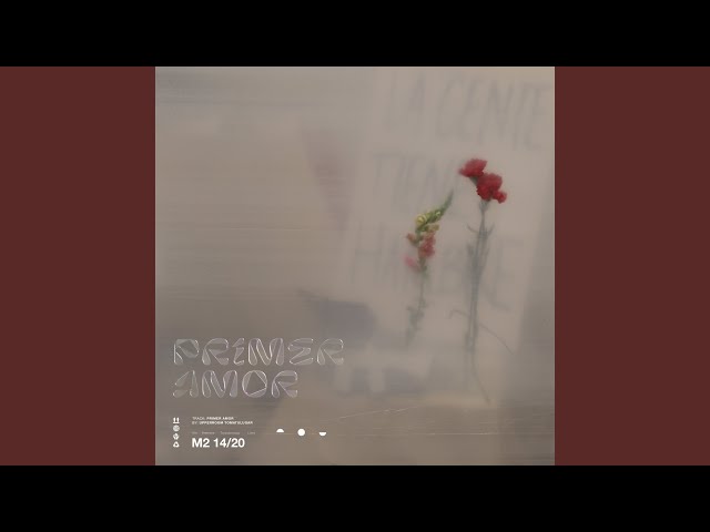 Primer Amor (Live)