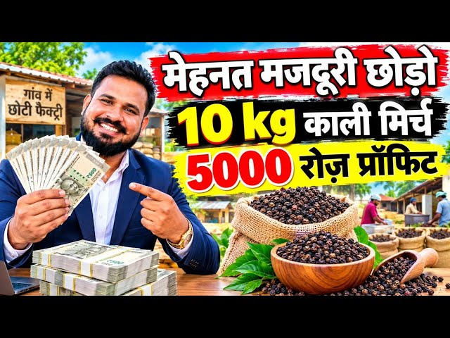 10 kg काली मिर्च से 5000 रोज   प्रॉफिट