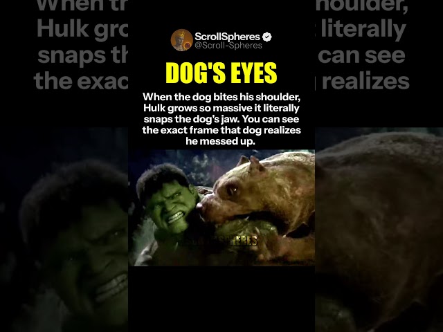 Biting Hulk Was A Terrible Idea - Hulk (2003)