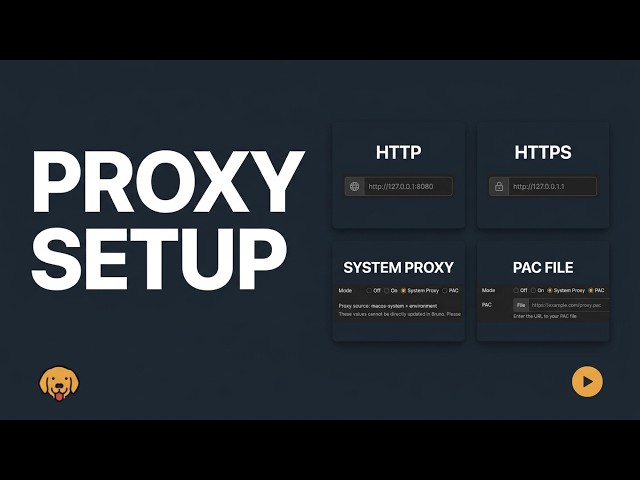 How to Setup Proxy in Bruno | HTTP, HTTPS, System & PAC Proxy | API Testing Client