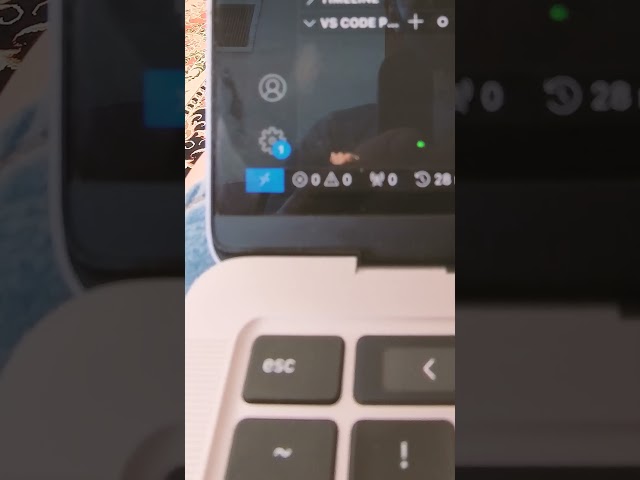 یه گربه دارم برنامه نویسی میکنه 🐱