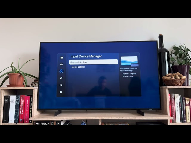 How to Open Mouse Settings on Samsung TV?