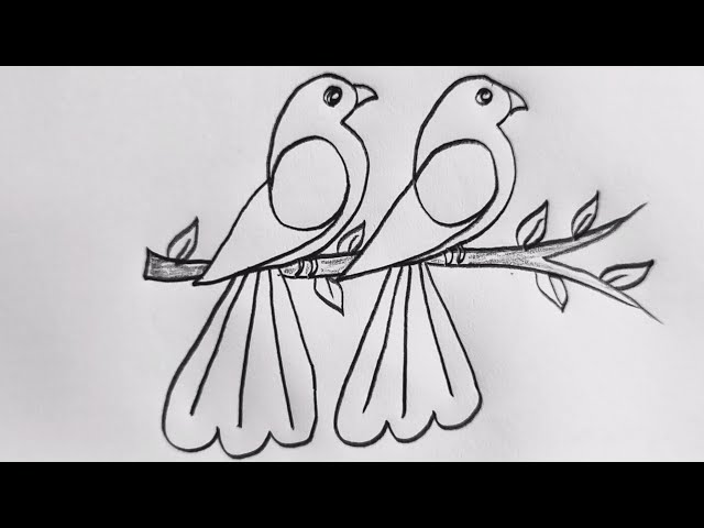 How to draw two birds step by step || Bird drawing tutorial with pencil #birddrawing