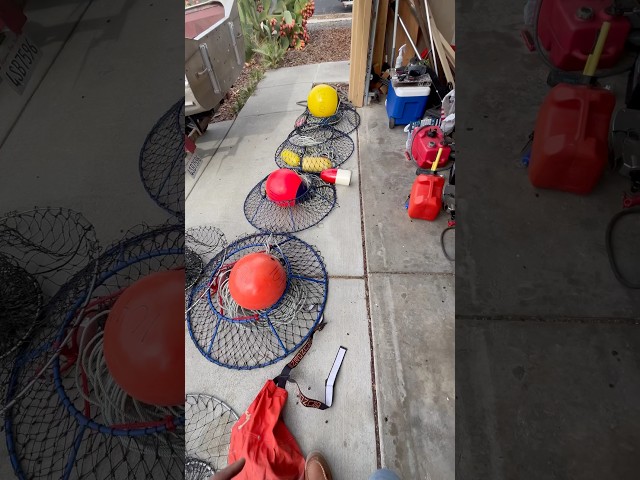 Setting up Hoop Nets for Dungeness Crab -Tips and Tricks #crab#dungenesscrab#crabbing#promar
