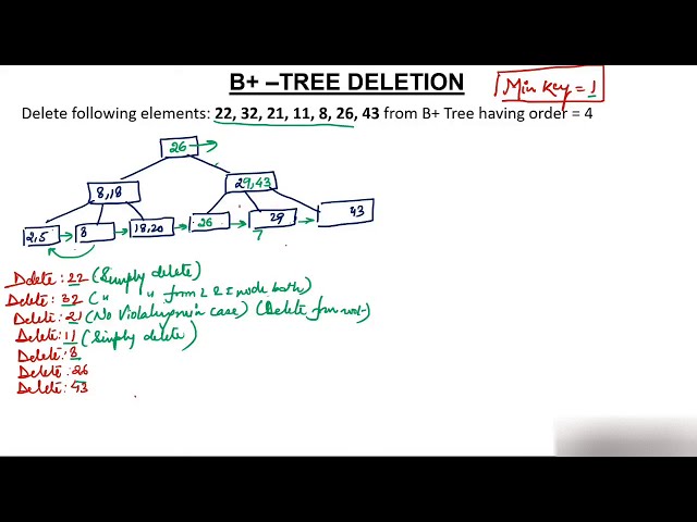3- B+ Tree Deletion | B+ Tree Deletion Explained | Step-by-Step Guide with Examples | Tpoint Tech