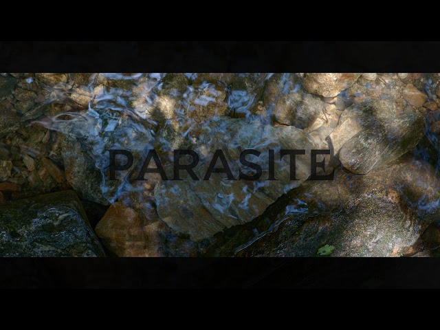 Parasite UHD Sample (Blu-ray Menu) [HDR 2160p 4k]