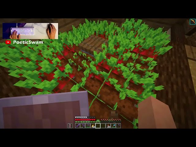 Chat, I am Cooked | WTF Bucket #16