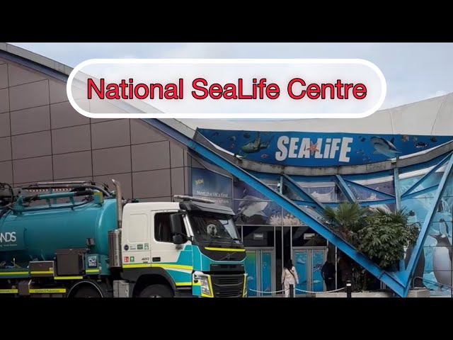 National SeaLife Centre, do we need a national one..