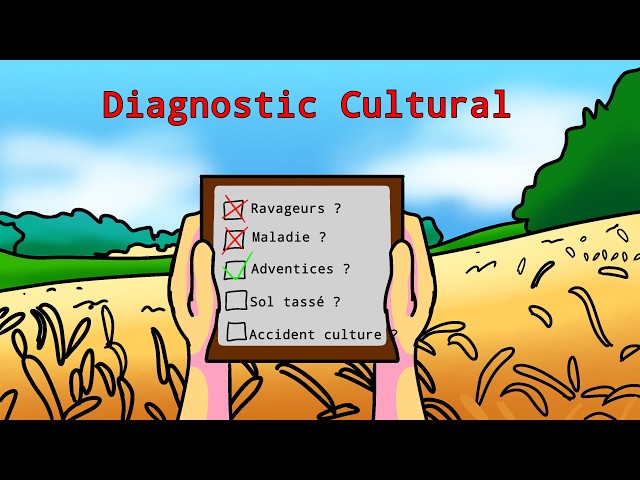 Diagnostic cultural:  Enjeux et préparation