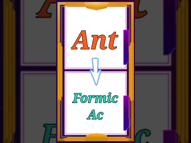 SOURCES ➡️ACIDS #shortsvideo #viral #education #trending  #shorts #source_acids #learn #college