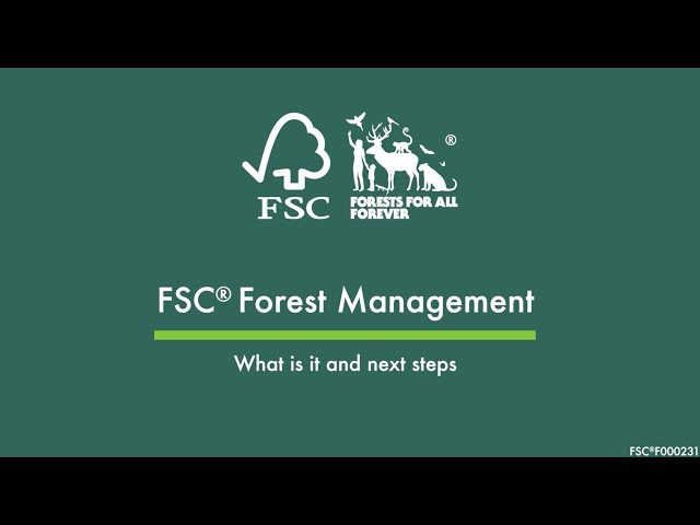 FSC Forest Management: What is it and next steps