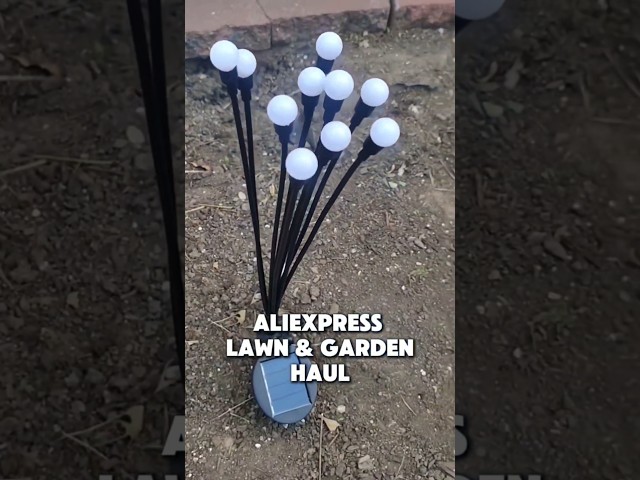 Aliexpress Solar Lights & Lawn/Garden Items 🌳 Discount codes in description! #aliexpress #allonae
