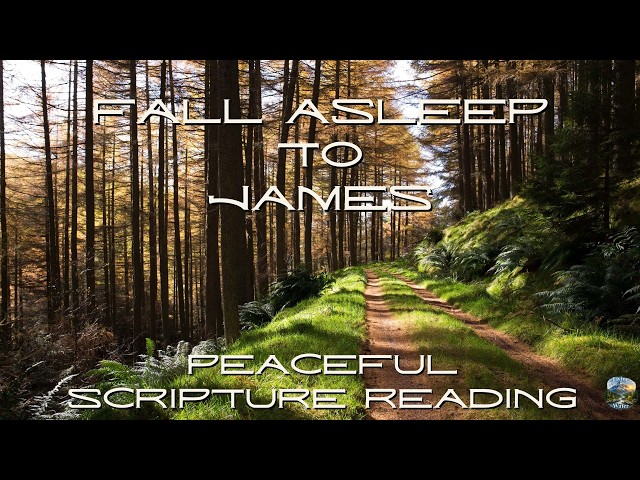 Fall Asleep to the Book of James | Peaceful Scripture Reading (Audio & Text)