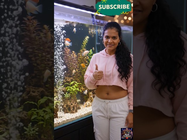 😱 Homemade Fish Tank Oxygen Generator #shorts DIY Aquarium Air Pump making at home