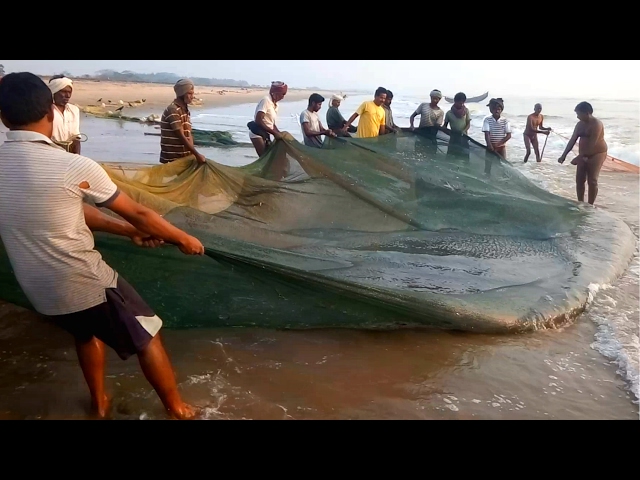 Worlds Most Satisfying Fishing video Ever 2017 | Catch N Cook Fresh Fish | Amazing Fish Hunting 2017