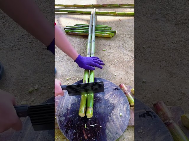 🌾🔪 Plant Stalk Batch Chopping and Sectioning Workflow