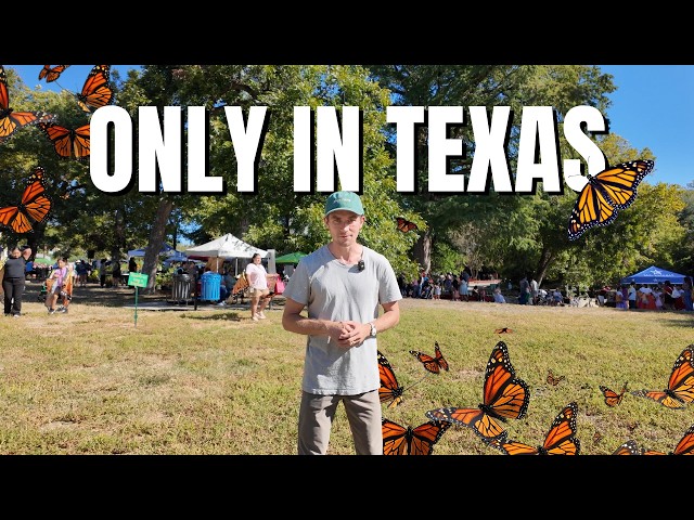 Every Fall, Millions of Butterflies Cross Texas. This City Throws Them a Party