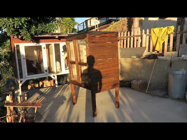 Cheap $50 kit Box for pigeons from pallet wood