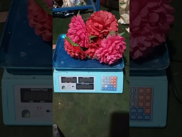 Weight machine