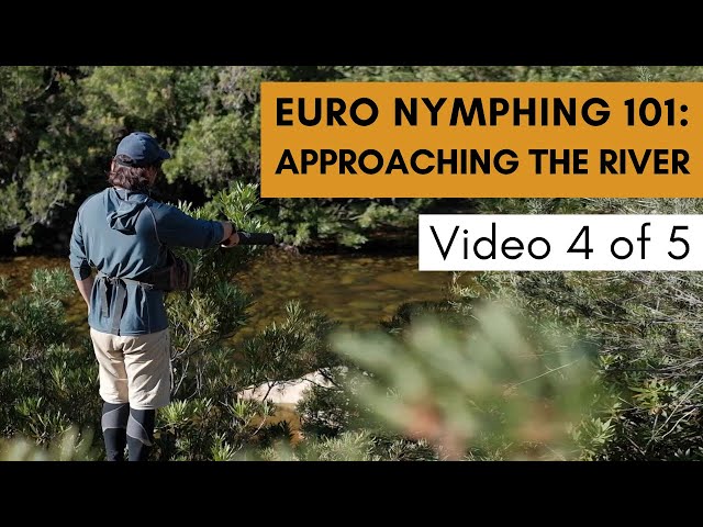 How To Find Trout in a River (Euro Nymphing 101)