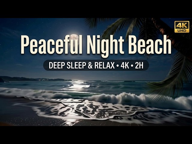 4K Peaceful Night Beach & Ocean Waves Ambience 🌙🌊 Full Moon, Tropical Palm & Sleep Sounds 2H