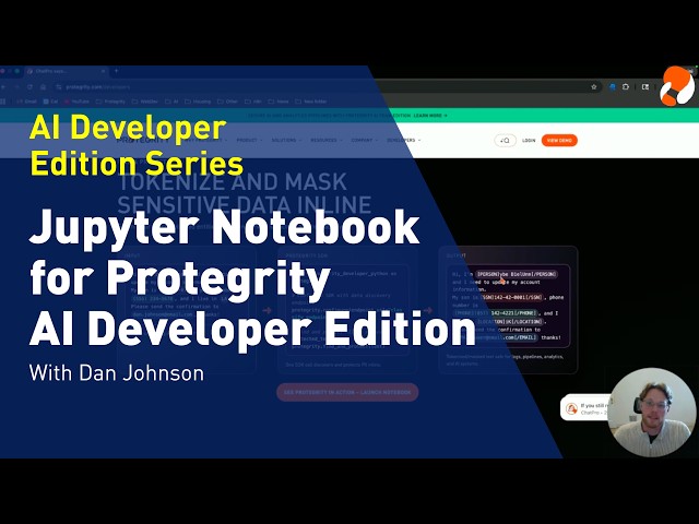 Jupyter Notebook for Protegrity AI Developer Edition
