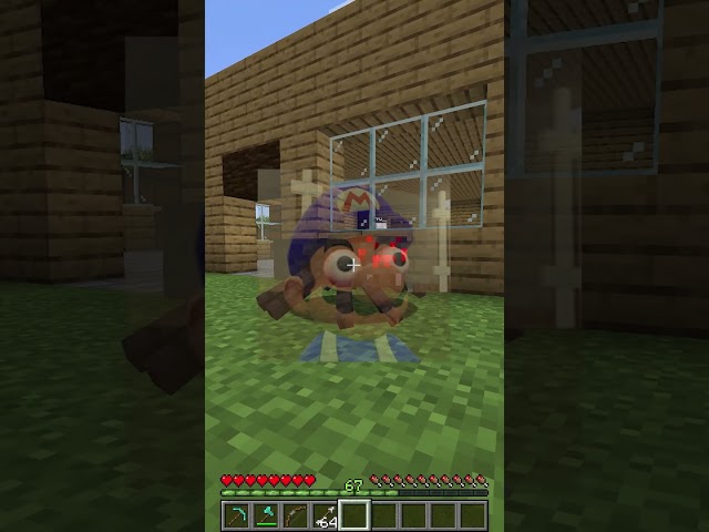 Hiding as a SPIDER!