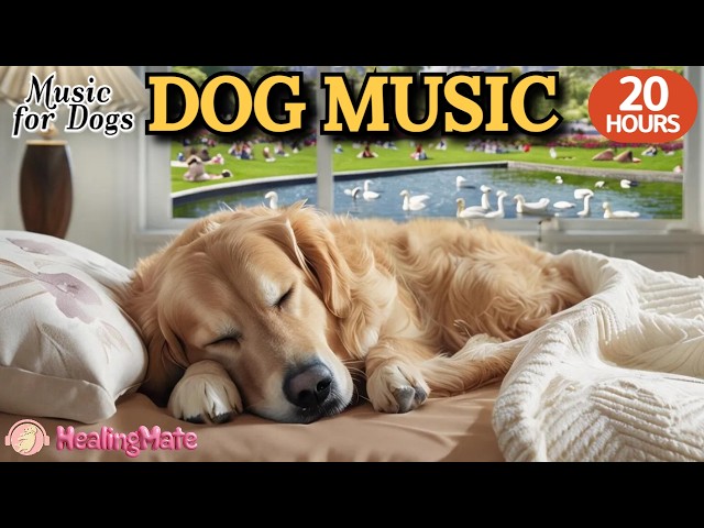 20 HOURS of Dog Calming Music🐶🎵Relaxing Music for Dog Separation Anxiety🐶💖Deep Sleep Music for Dogs