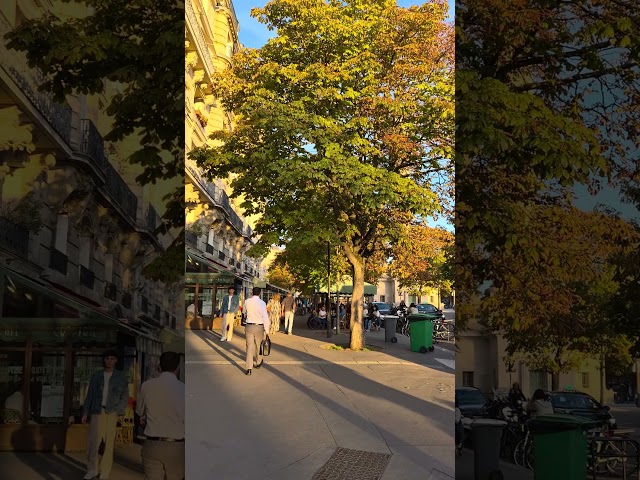 Autumn in Paris #paris #travel #parisroad #parisdiaries #parisvlogger #autumn #visitparis