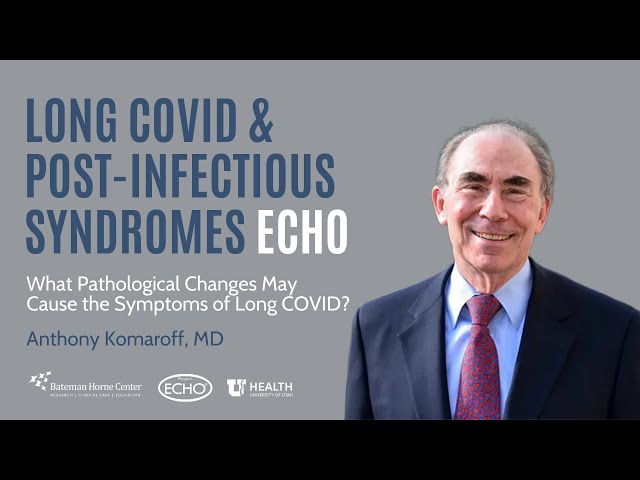 What Pathological Changes May Cause the Symptoms of Long COVID?