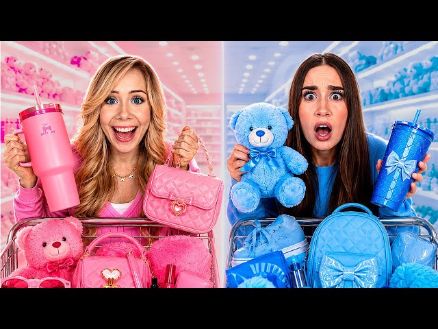 BEST FRIEND PINK VS BLUE SHOPPING CHALLENGE