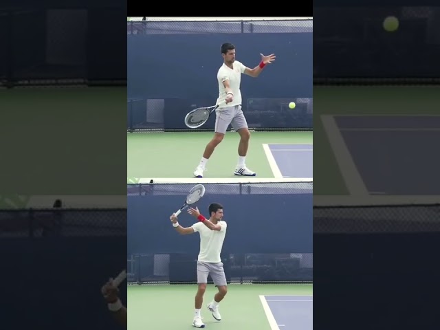 The most textbook forehand ever!? #technique #tennis #djokovic #forehand