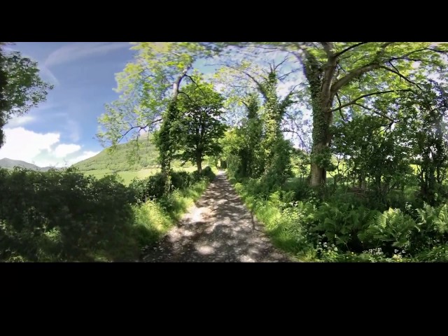 Sunny Spring Walk - 360 Video [Royalty Free Stock Footage] $350 [4K VR Stereoscopic 3D]
