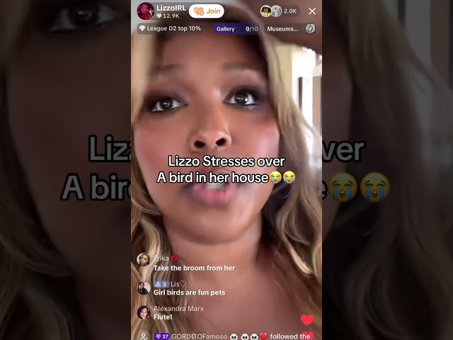 Lizzo has a Panic Attack as a bird flies into her house (TikTok live May 14th 2026)