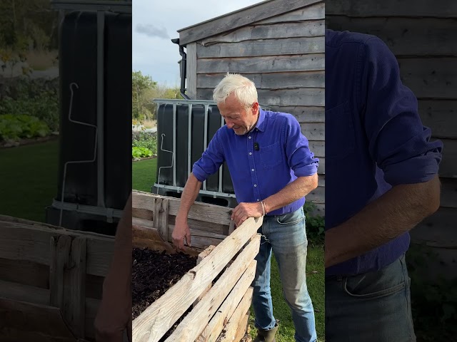 9 month compost is so good for potting mix