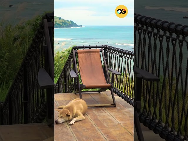 Explore This Hidden Gem Off-The-Grid Paradise in Camarines Sur! #OGChannel #Travel #KiudKad #Bicol