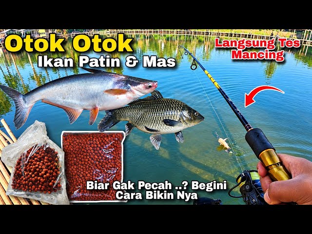 UMPAN OTOK OTOK IKAN PATIN DAN IKAN MAS ‼️ Langsung Tes Mancing // Mudah Bikin Nya Gacor Hasil Nya