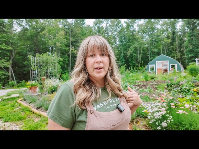 How I Afford To Live Off Grid
