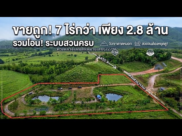 For Sale! Over 7 Rai for Only 2.8 Million | Full-System Mixed Orchard, Tat Mok Mountain View, So ...